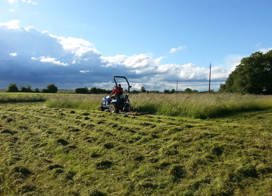 Débroussaillage de terrain