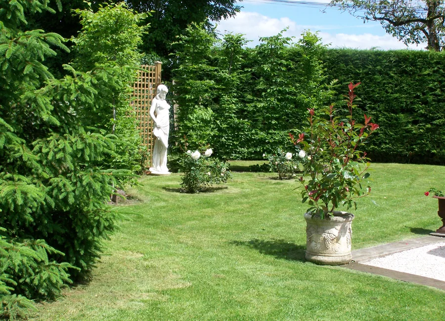 Jardin entretenu avec pelouse et végétaux